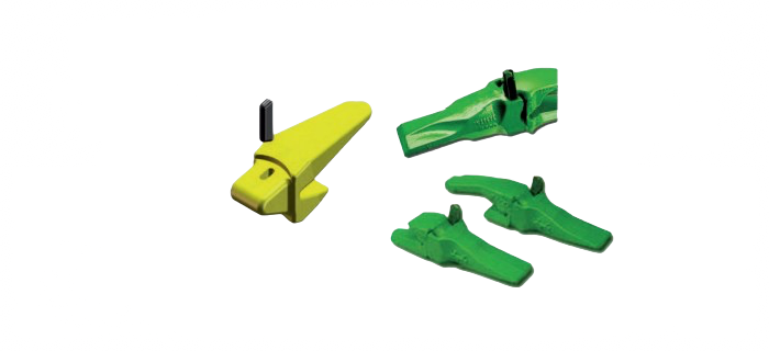 Denti e portadenti | Teeth and holders